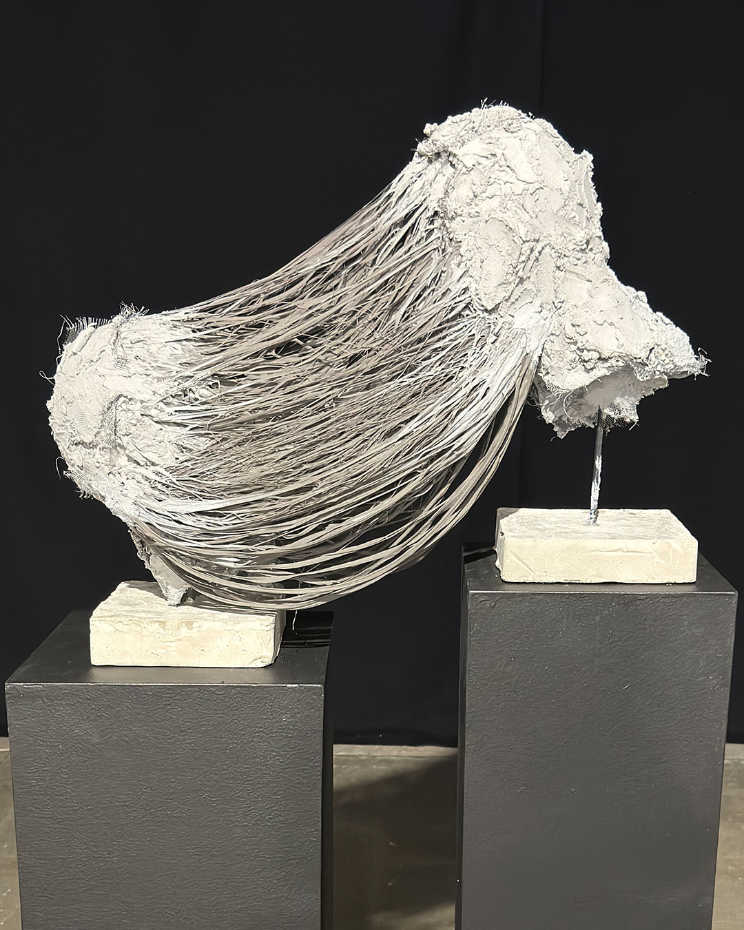 reciprocate insta postArtboard 7