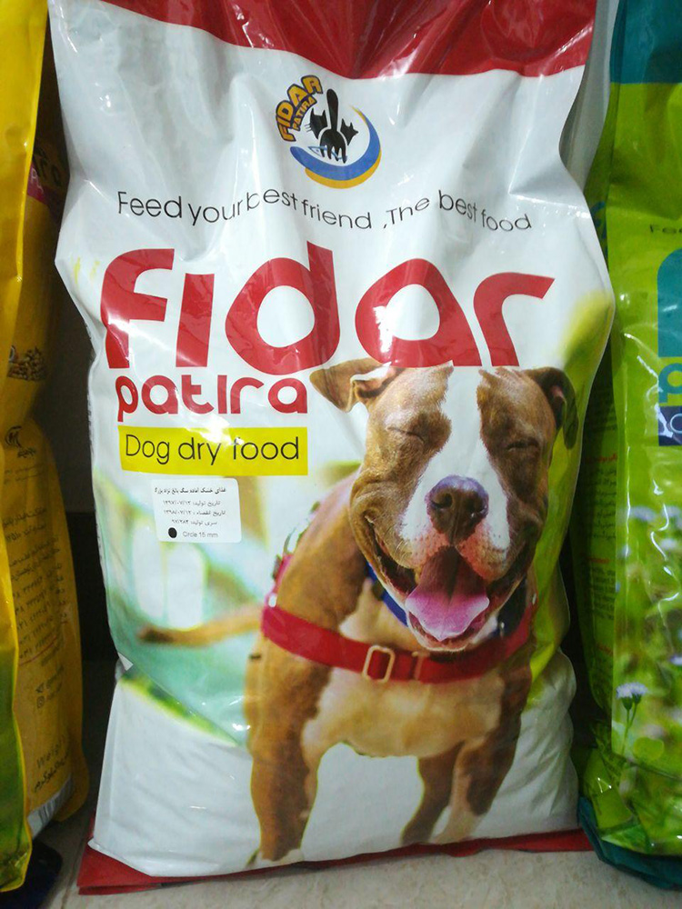 photo_2020-07-08_23-55-53