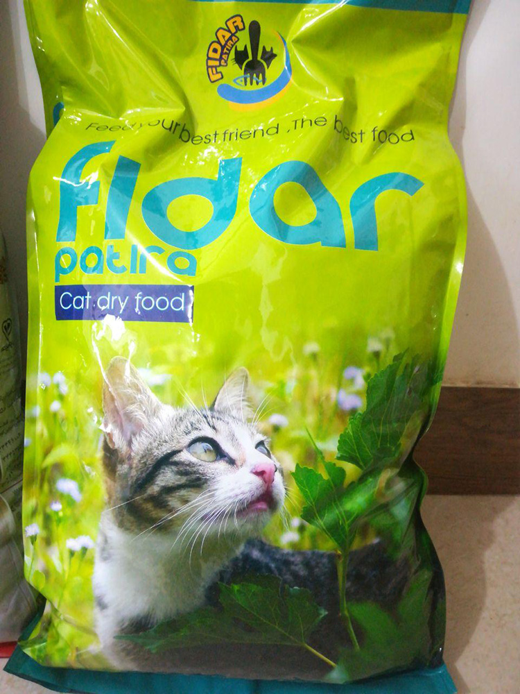 photo_2020-07-08_23-56-03