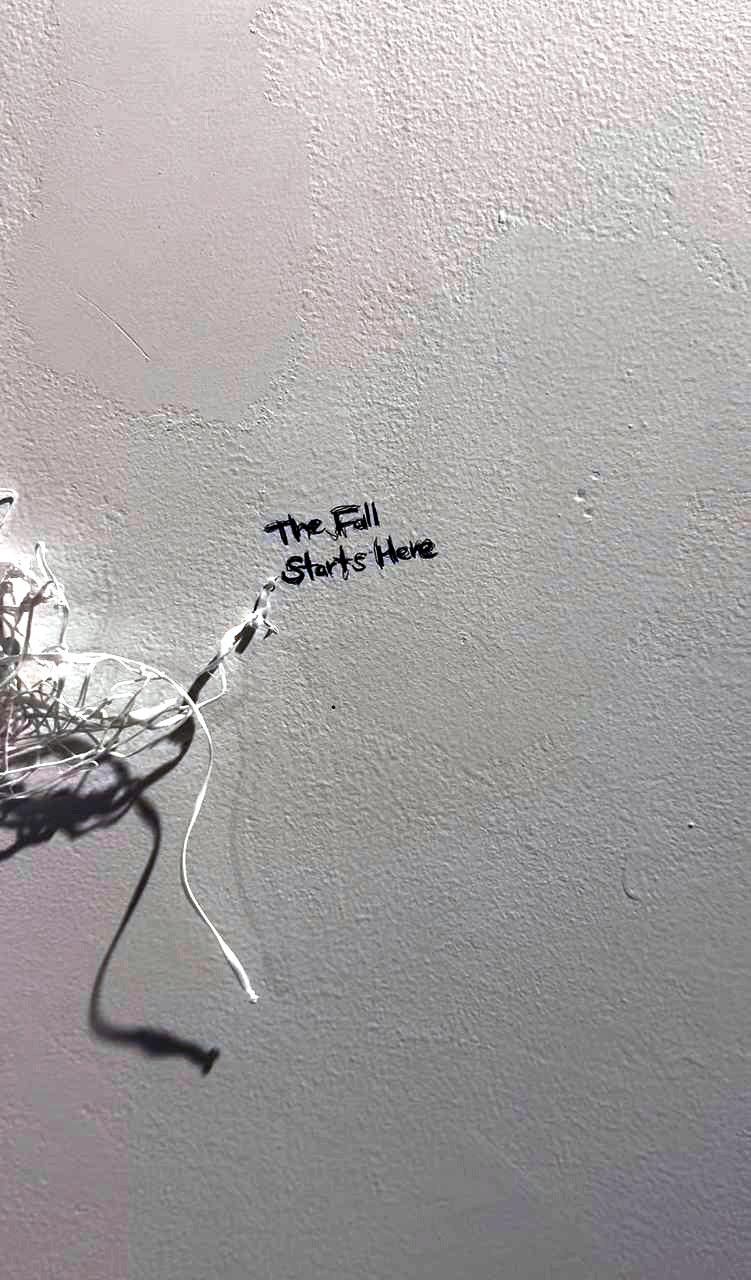 photo_6030365599957369863_y