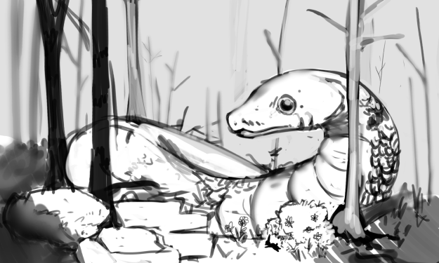 Dissmeyer-Zander-ScaleFinal